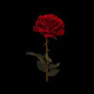 Meet your Posher, Brimaplaz